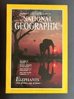 1991